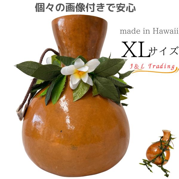 楽天市場】イプ XLサイズ フラ フラダンス 楽器 ハワイ ハワイアン