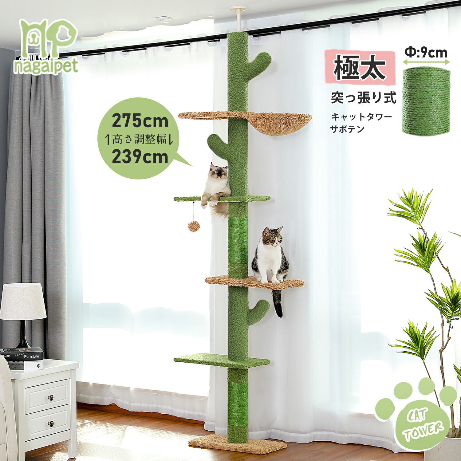 楽天市場】【10%OFF☆スーパーSALE】キャットタワー 突っ張り サボテン