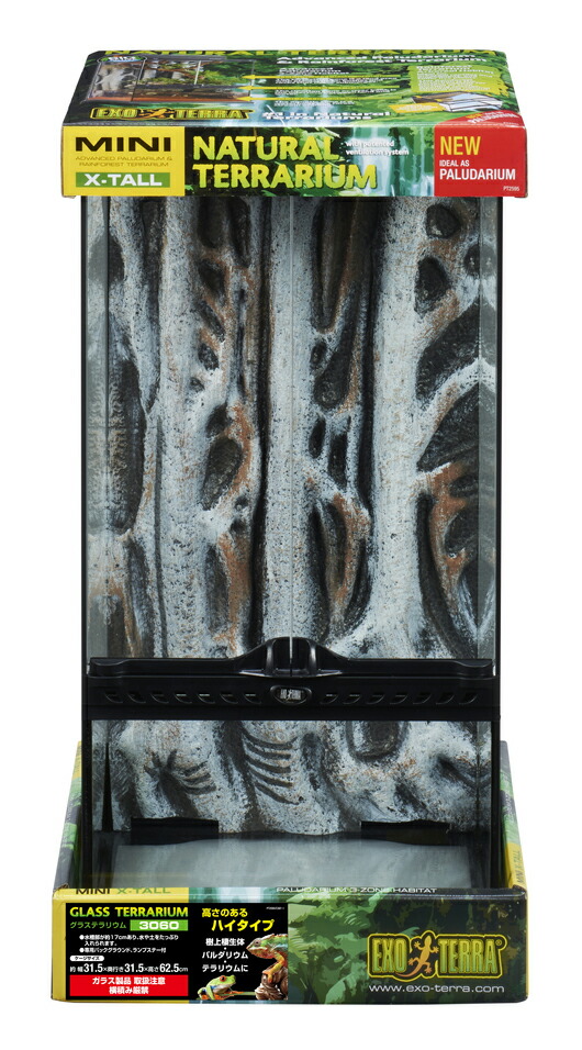 楽天市場】○【エキゾテラ】レオパ飼育キット GTP3030 EXOTERRA