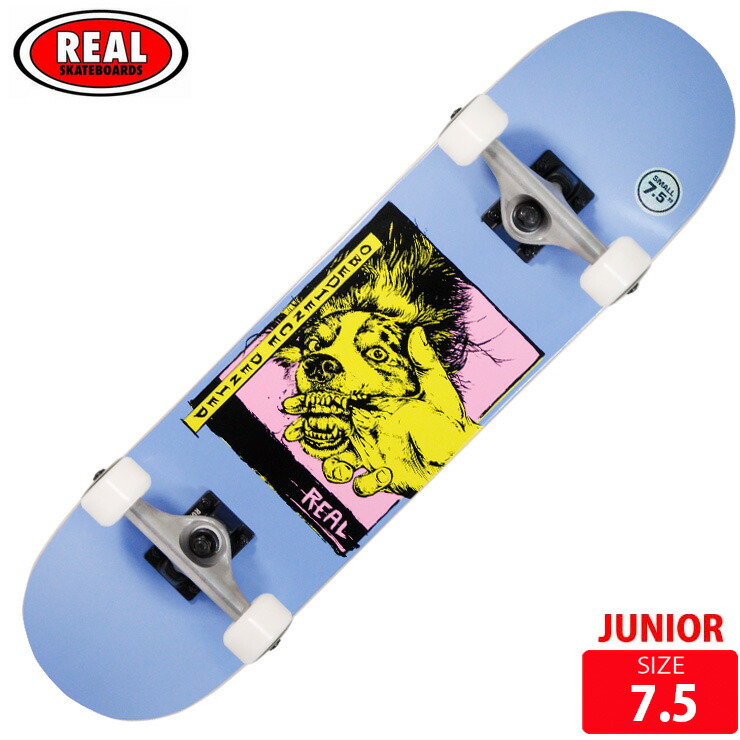 りす 秋冬物セール】REAL リアル スケートボード コンプリート