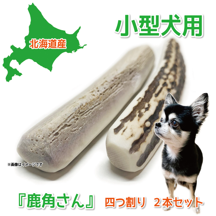 楽天市場】【小型犬用 蝦夷鹿の角】犬のおもちゃ 『鹿角さん』 髄出し