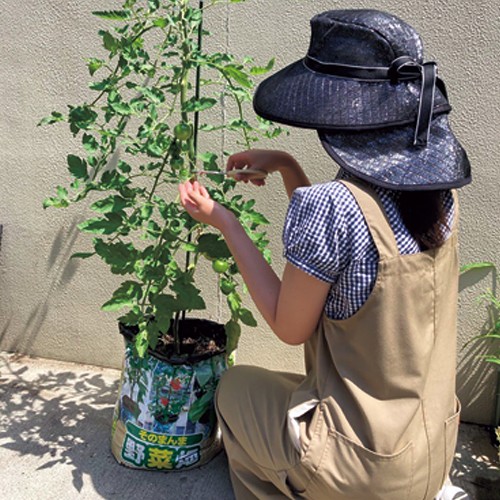 タキイ そのまんま野菜畑 1組（20L入×3袋）| 種・苗・ガーデニング用品