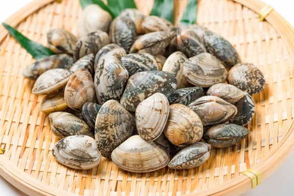 Asari Clams (With Shell) Frozen - あさり殻つき（冷凍） 500g
