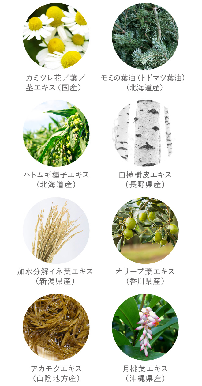 5％OFF】[薬用]凜恋/rinRen シャンプー・トリートメント セット