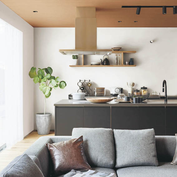 シンコール | SLP306 | エスエルプラス2025-2027