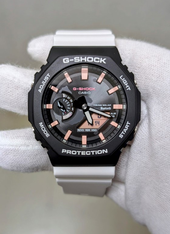 居酒屋プロジェクト【G-SHOCK チャールズ・ダーウィン】2024選