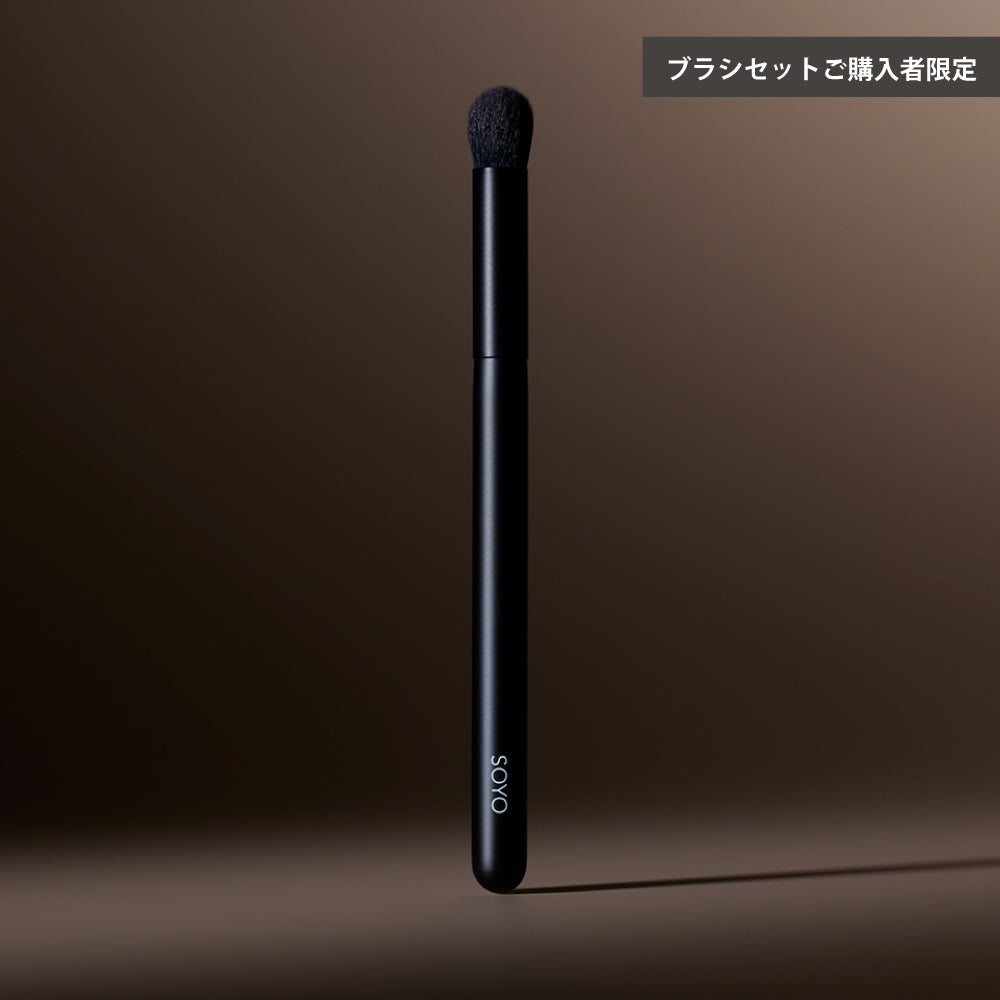 既にブラシセットをご購入いただいた方 – SOYO