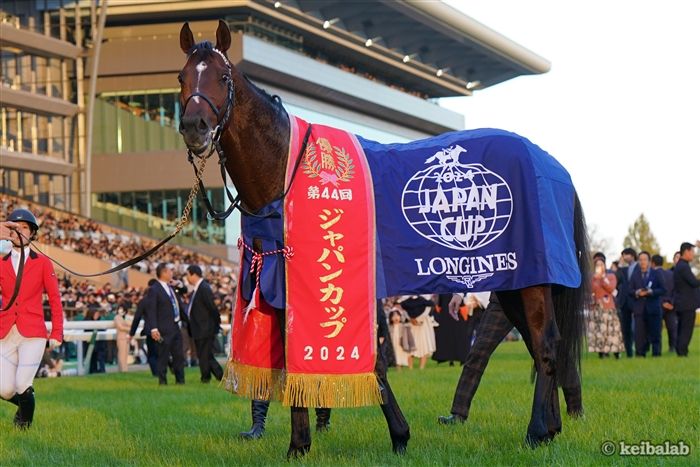 ジャパンカップ】世界よ、これが日本競馬だ！武豊＆ドウデュースが堂々