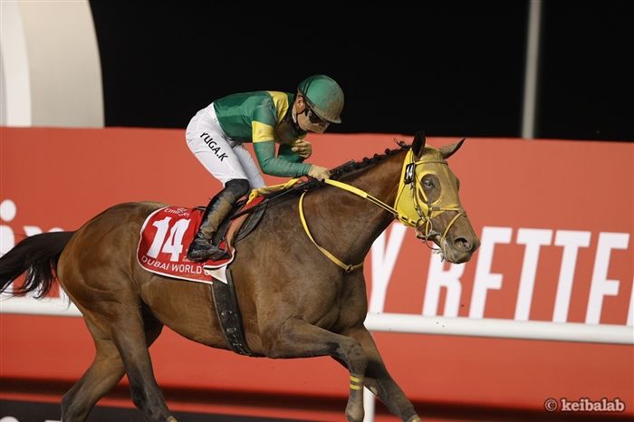 ドバイワールドカップ】豪脚！ウシュバテソーロがまとめて差し切り世界