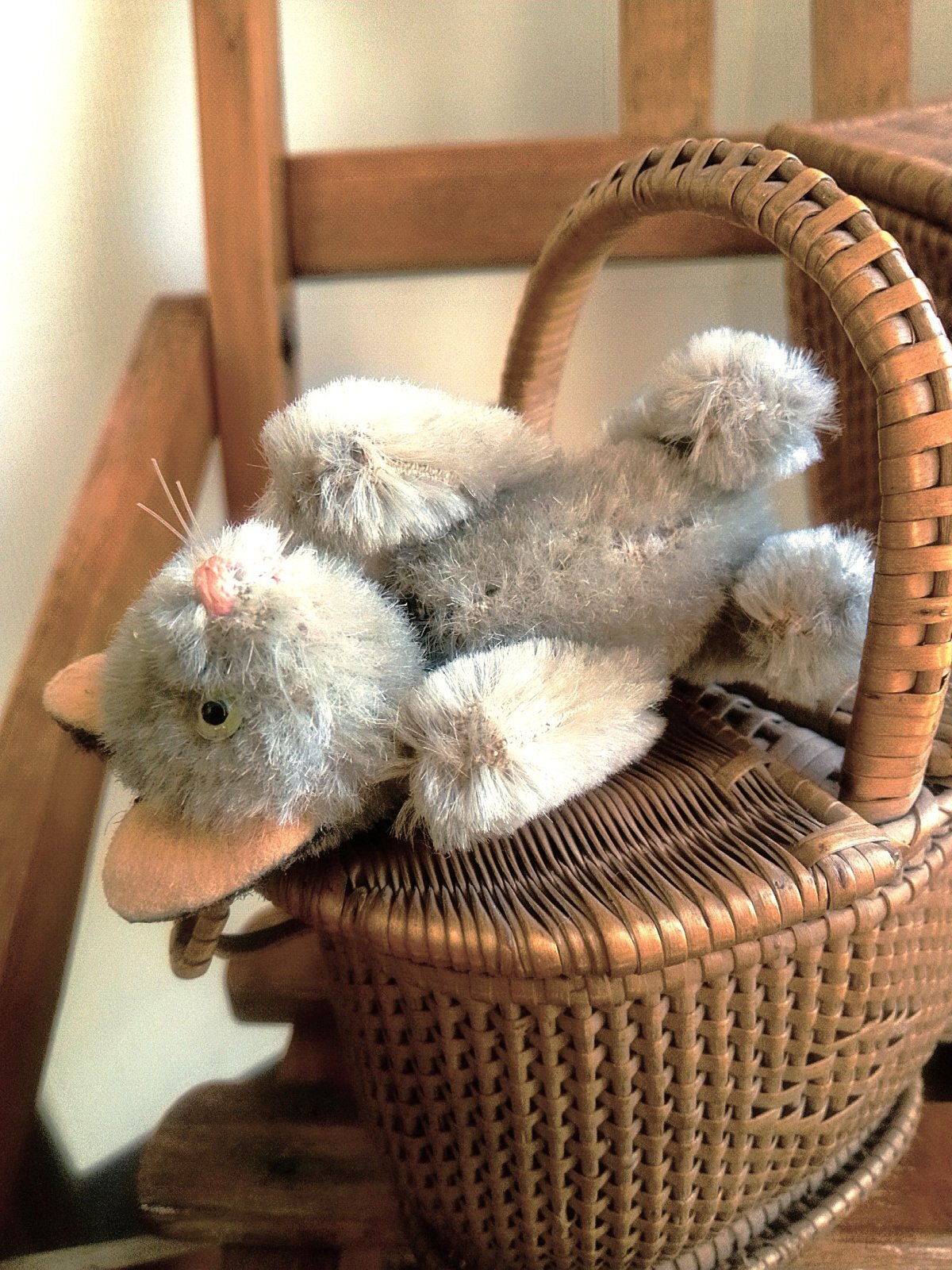 灰色猫 耳黒のグレーキャット シュコー社 ノアの箱舟シリーズ - SNAP