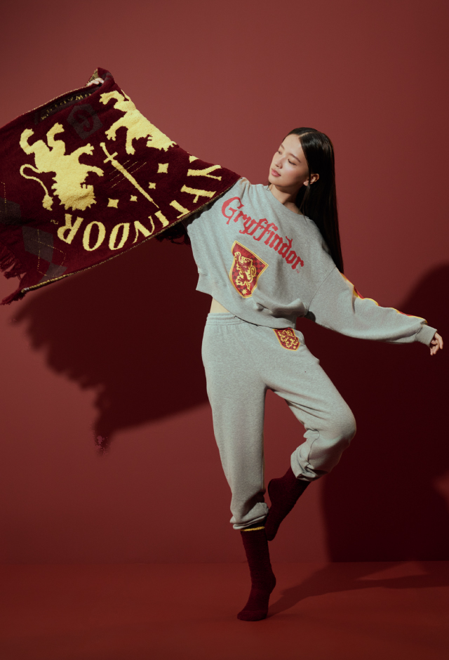 Harry Potter SNIDEL HOME | SNIDEL HOME（スナイデルホーム）公式サイト