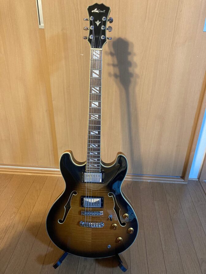 Aria Pro II TA-700｜初心者さんにおすすめのセミアコ！】｜リベシティ