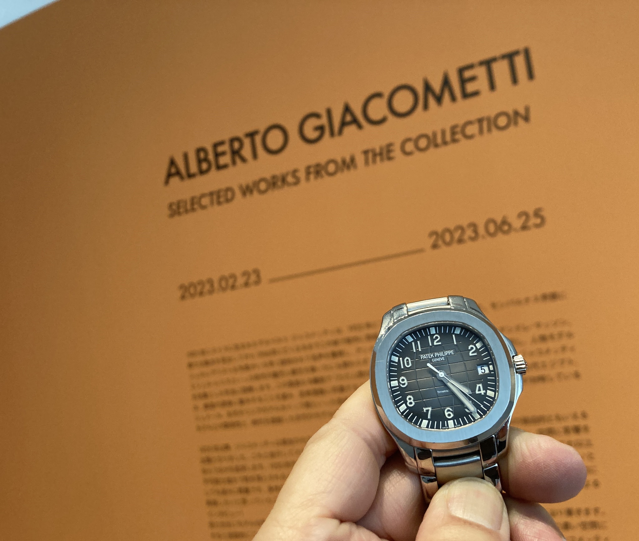 Patek Philippe - I wore the Aquanaut 5167 to visit museums in Osaka.