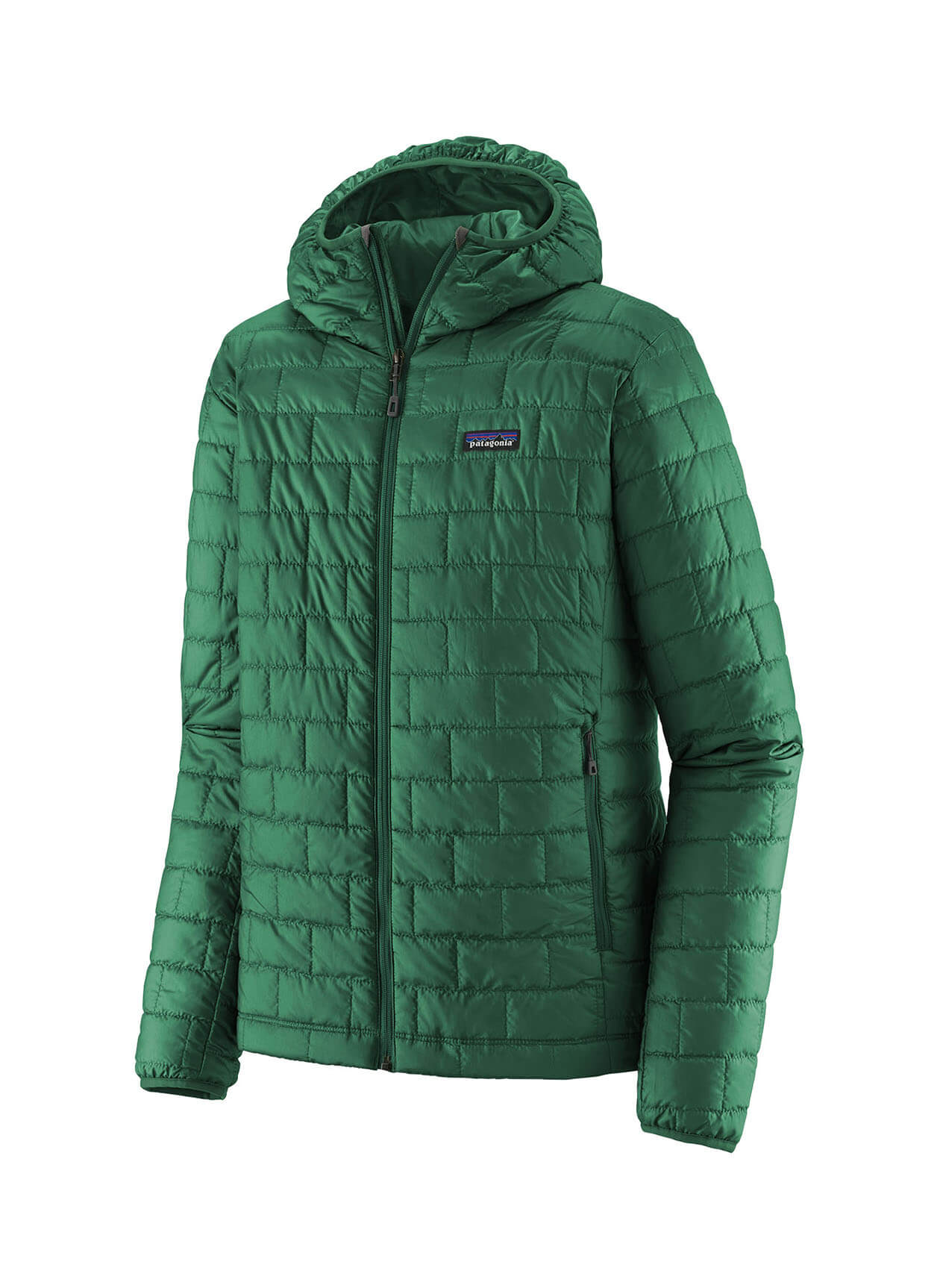 Patagonia Men's Conifer Green Nano Puff Hoodie | Customized