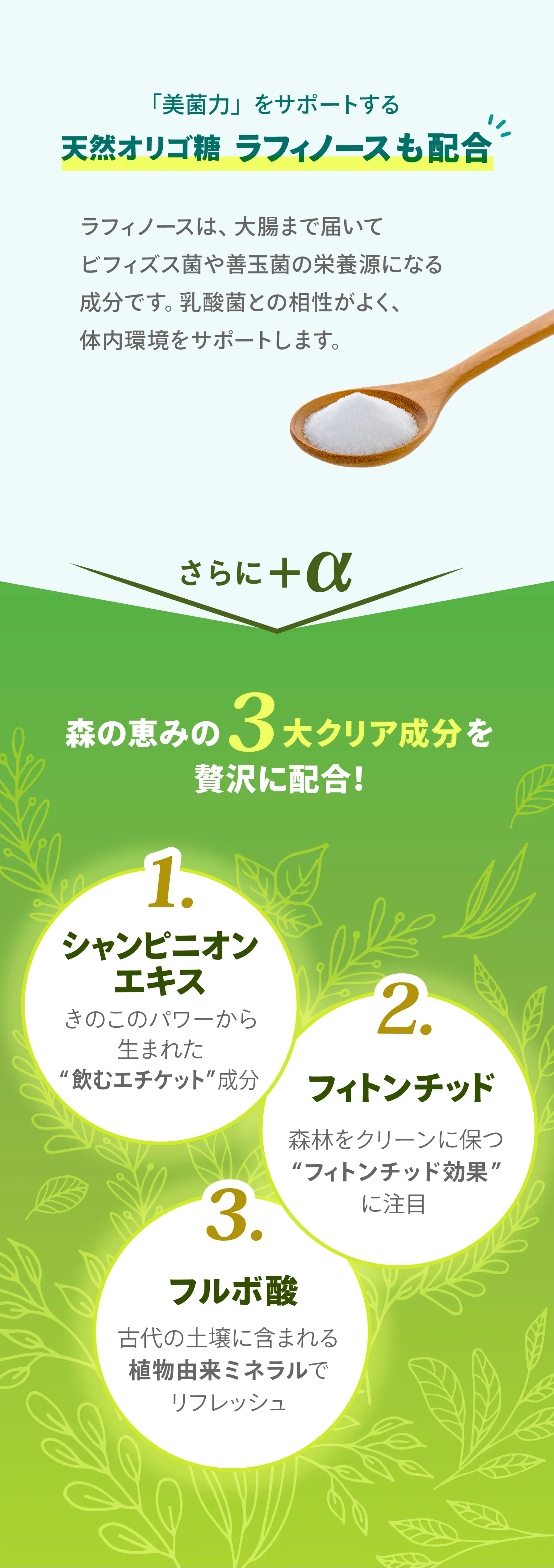 LAVA×BE-MAX BRM 1.3(ラバ×ビーマックスベルム1.3)｜LAVA公式