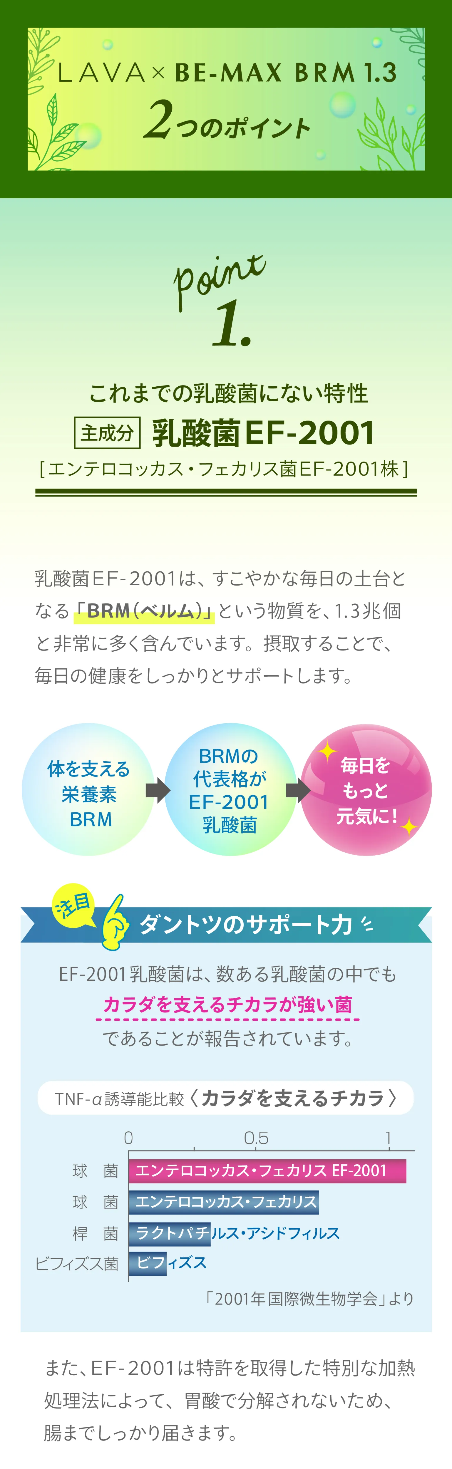 LAVA×BE-MAX BRM 1.3(ラバ×ビーマックスベルム1.3)｜LAVA公式