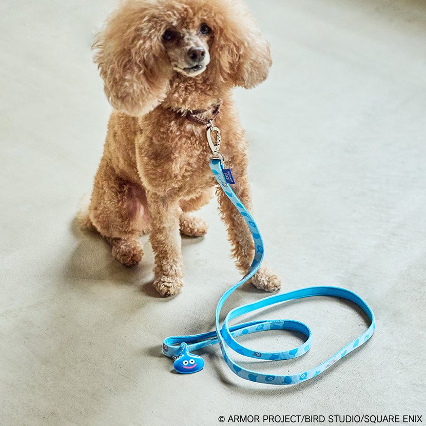 DRAGON QUEST PETs スライムのリフレクター付きペットリード