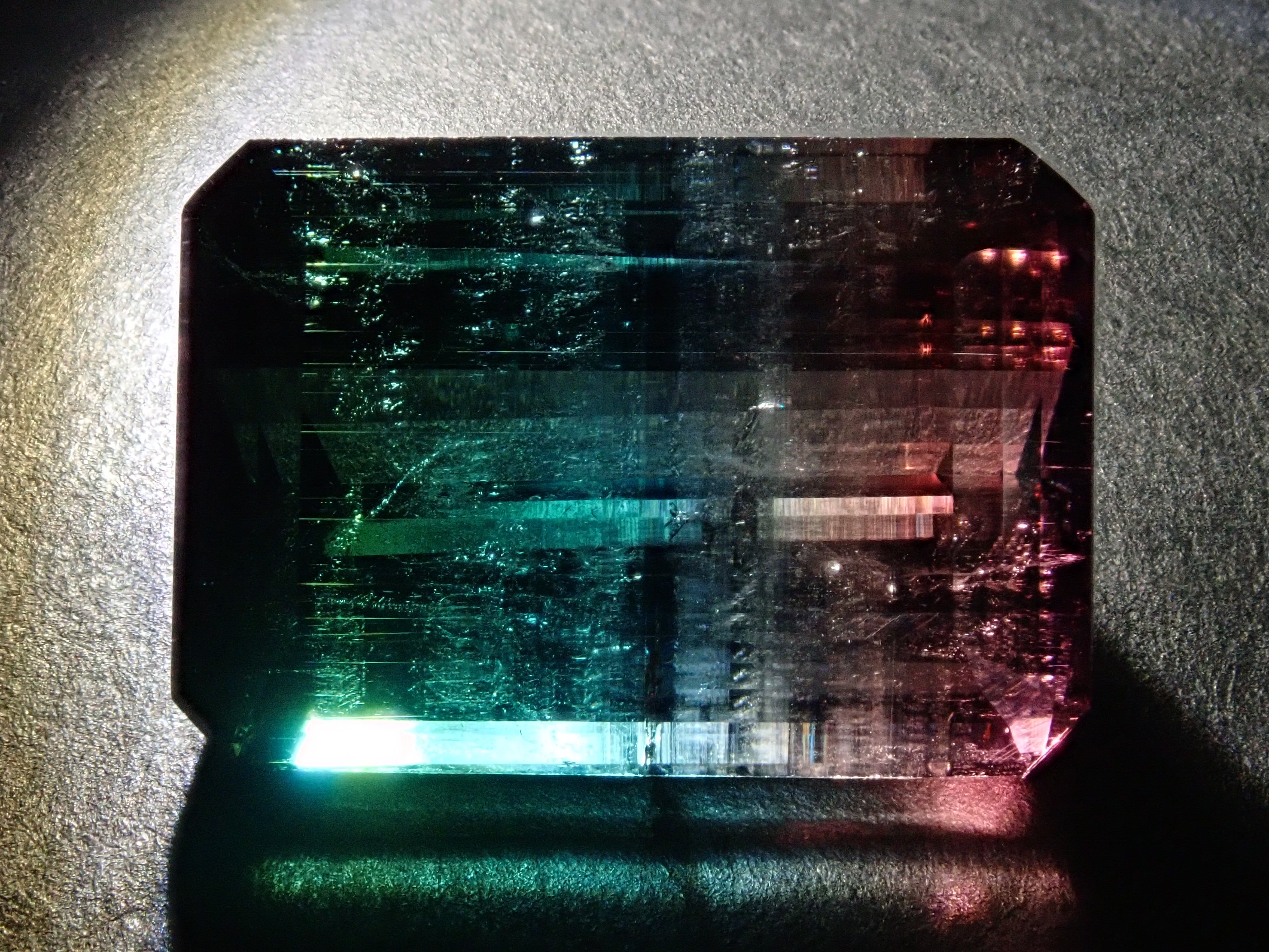 ブラジル産バイカラートルマリン 16.088ctルース（トリカラー） 日独鑑