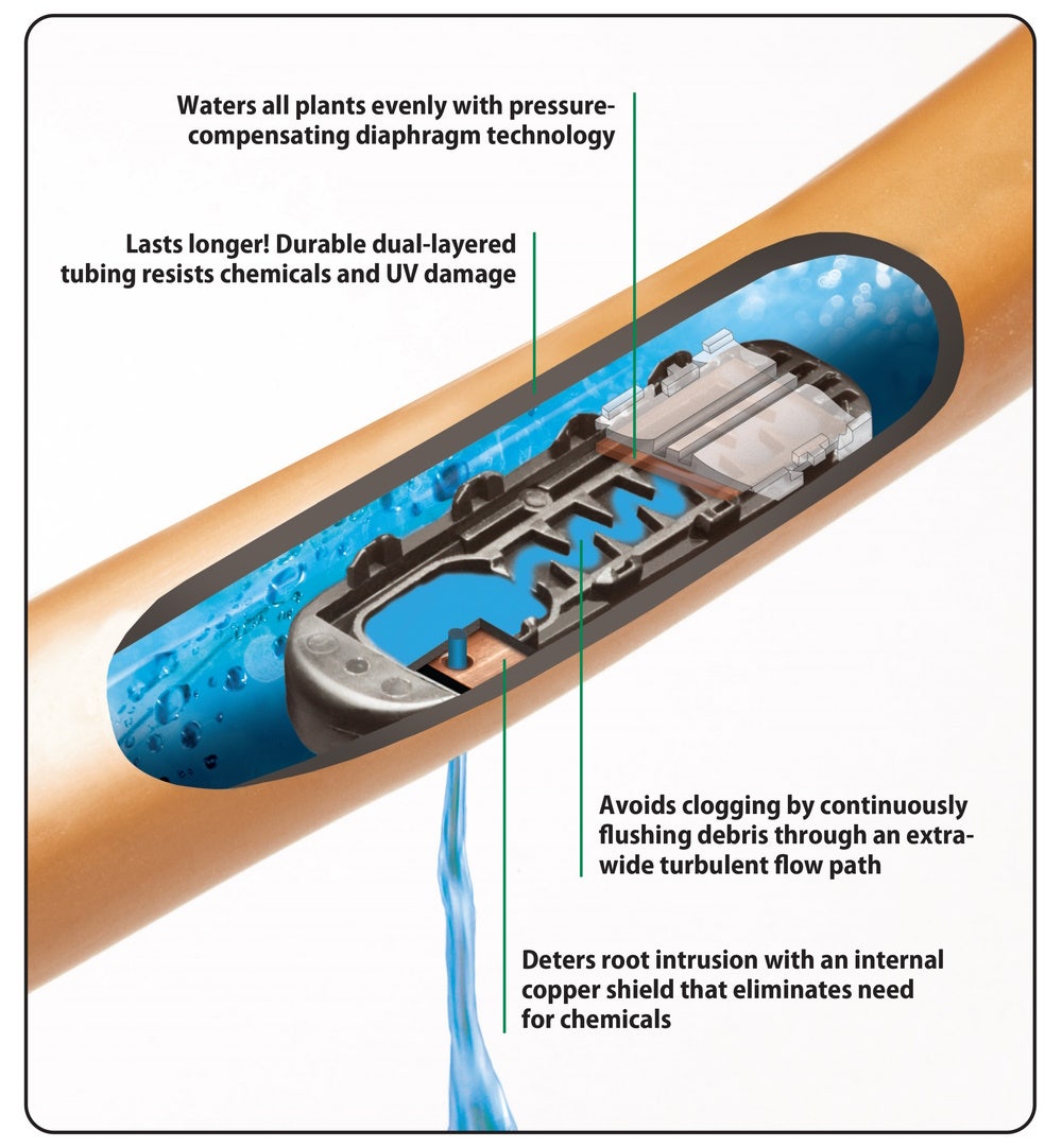 SUNRISE SB1 or SB2 プリアンプ SUNRISE SB1 or SB2 プリアンプ
