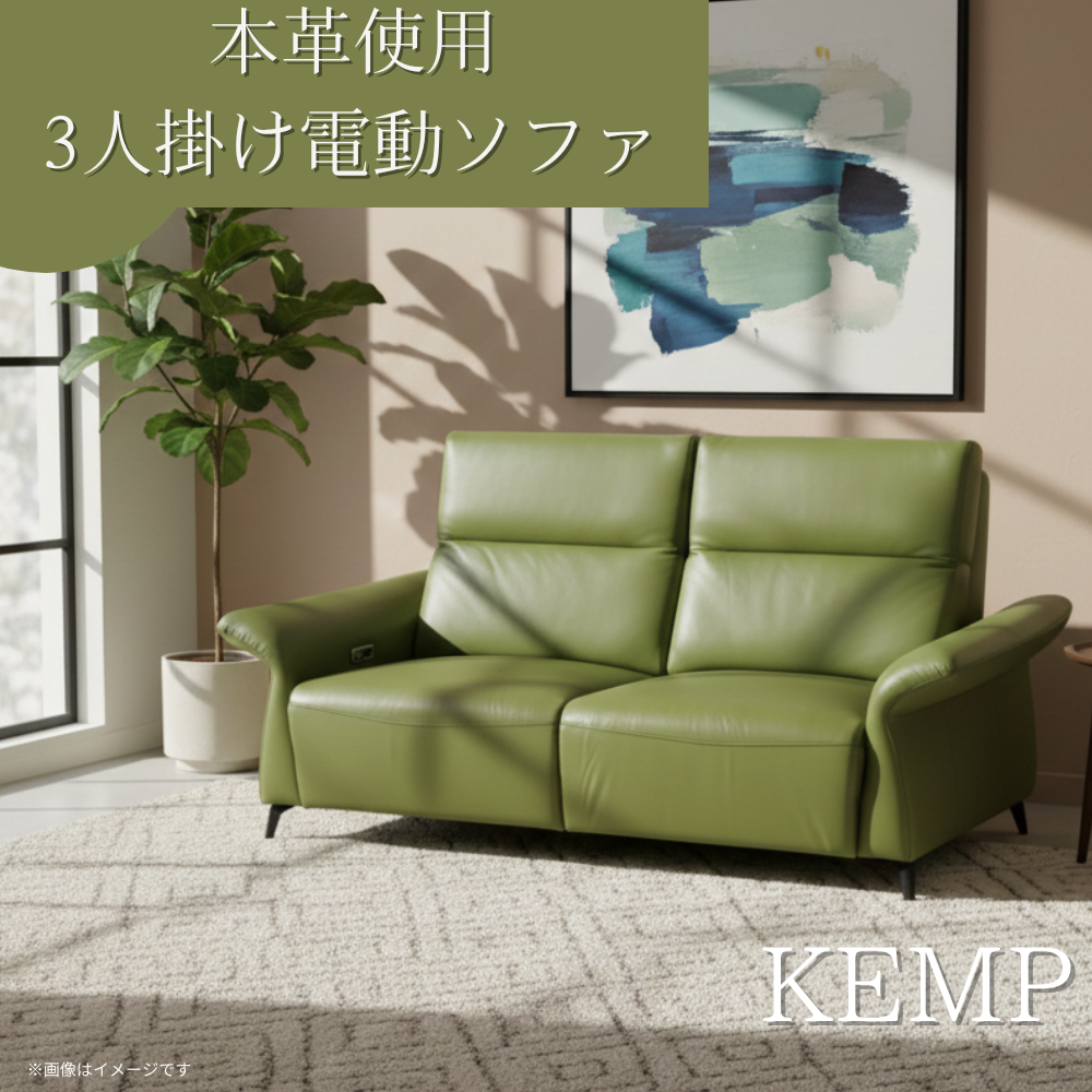 本革3人掛け電動リクライニングソファ ケンプ グリーン グレーのご購入