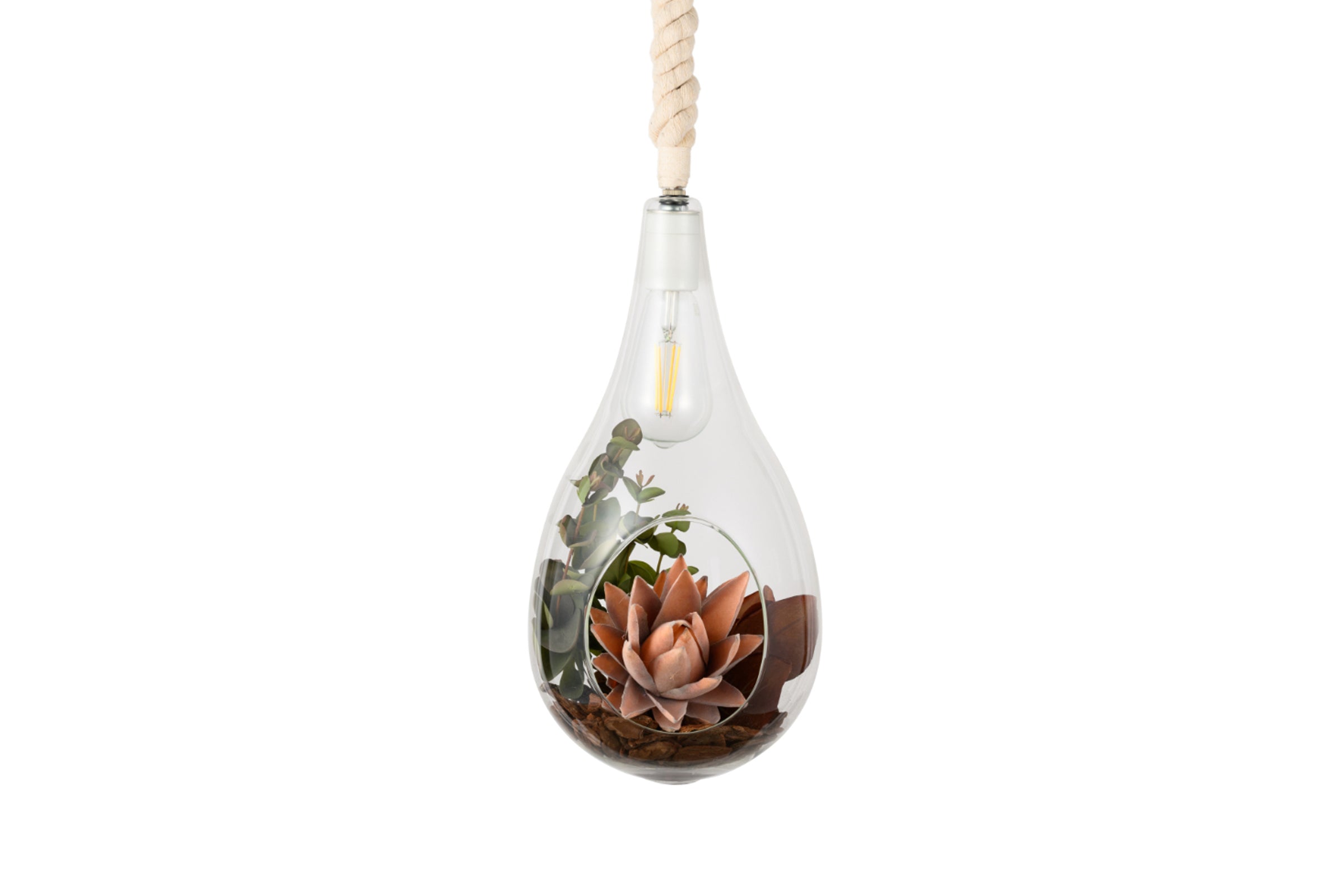 BOTANIC HANGING LIGHT with FAKEGREEN – SWAN ONLINE STORE