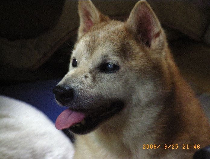 ゴロワノフ - ニコライ・ゴロワノフ (Nikolay Semyonovich Golovano