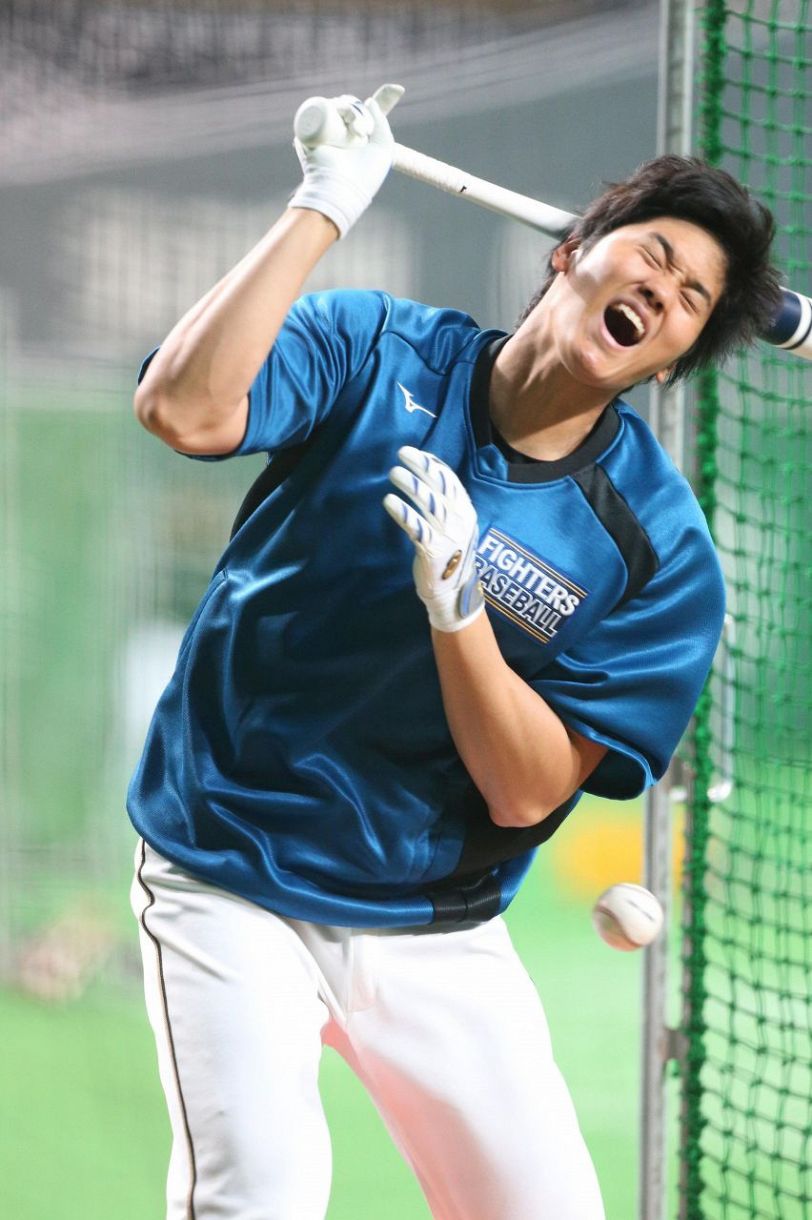 写真グラフ】大谷翔平ヒストリー～2017日本ハム編～：中日スポーツ