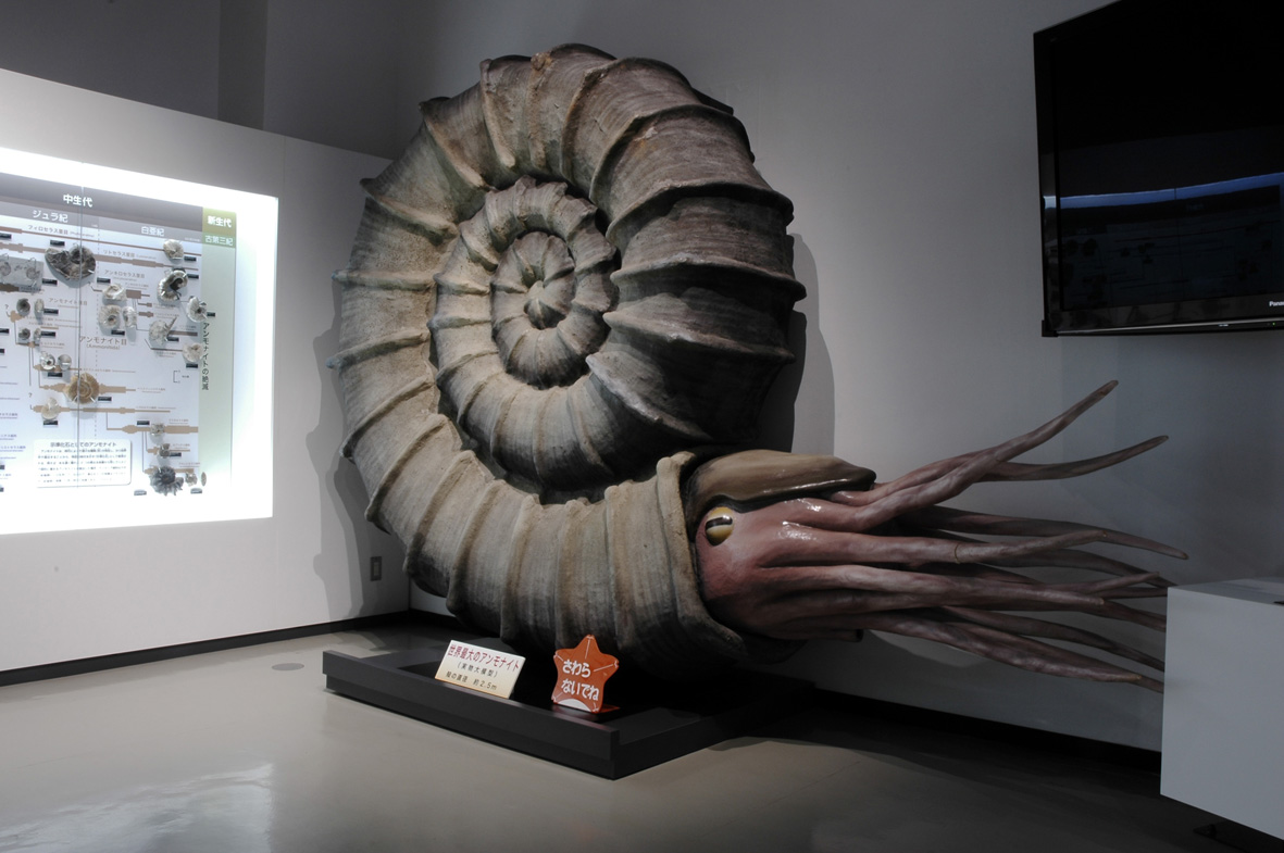 AKARENGA(あかれんが)