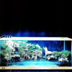 画像追加60cm二段滝 大型アクアテラリウム 水槽 完成品 ジャングル