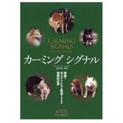 m19537726901_1.jpg?1727236780