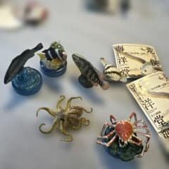 m30219216116_1.jpg?1751078663