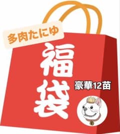 2026多肉福袋 豪華12苗 - メルカリ