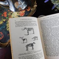 ゜+1924年 珍しい地質学の古書 化石 アンティークブック ヴィンテージ