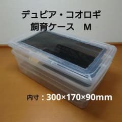 m49118006479_1.jpg?1737982287