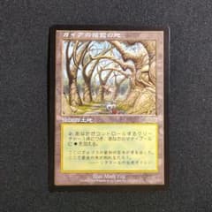 MTG ガイアの揺籃の地 Gaea's Cradle クレイドル 最終在庫 - メルカリ