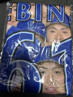 m42832193461_1.jpg?1763892834