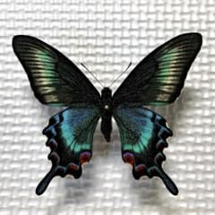 m62125817979_1.jpg?1675822910