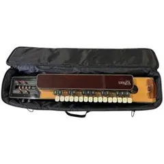 2026年最新】大正琴ライリッシュの人気アイテム - メルカリ