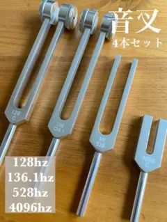 2026年最新】音叉チューナー マドモアゼル愛の人気アイテム - メルカリ