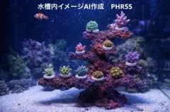 2026年最新】人工 ライブロックの人気アイテム - メルカリ