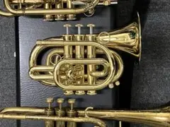 2026年最新】ポケットトランペットの人気アイテム - メルカリ