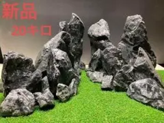 2026年最新】龍王石 親石の人気アイテム - メルカリ