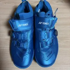 2026年最新】ヨネックス YONEX パワークッションインフィニティの人気
