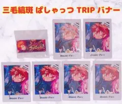 2026年最新】TRIP ぱしゃっつ あんスタの人気アイテム - メルカリ