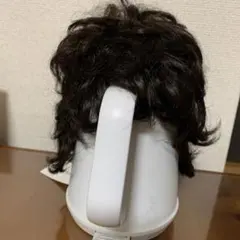 2026年最新】フォンテーヌ ハーフウィッグの人気アイテム - メルカリ