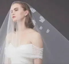 2026年最新】トリートドレッシング ベール 蝶の人気アイテム - メルカリ