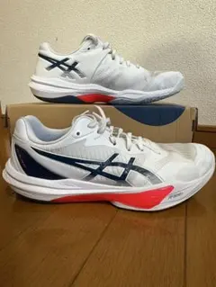 2026年最新】スカイエリートff3の人気アイテム - メルカリ