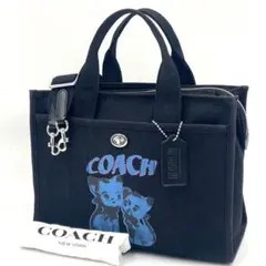 2026年最新】lil nas x drop by coachの人気アイテム - メルカリ