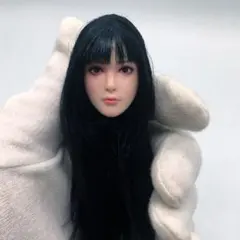 2026年最新】Tbleague 1/6 ヘッドの人気アイテム - メルカリ