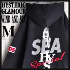 2026年最新】ウィンダンシー ヒステリックグラマー tシャツの人気